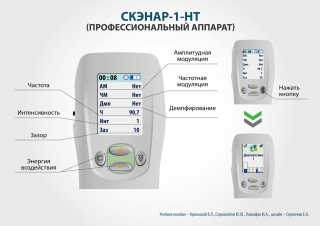 СКЭНАР-1-НТ (исполнение 01)  в Новочебоксарске купить Медицинская техника - denasosteo.ru 